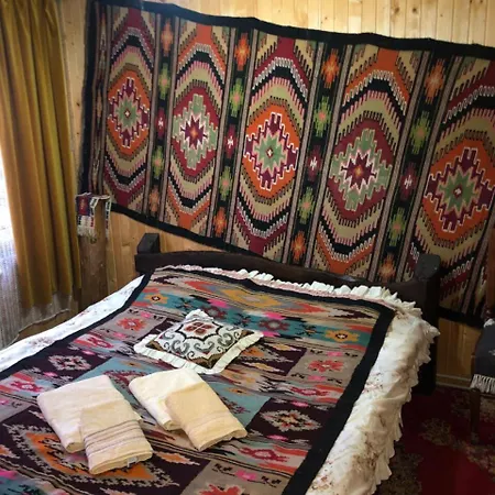 Родзинка Влади Maison d'hôtes